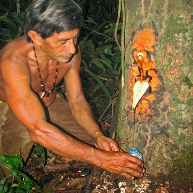 Baume de copaiba 100 naturel guayapi 50ml 4903